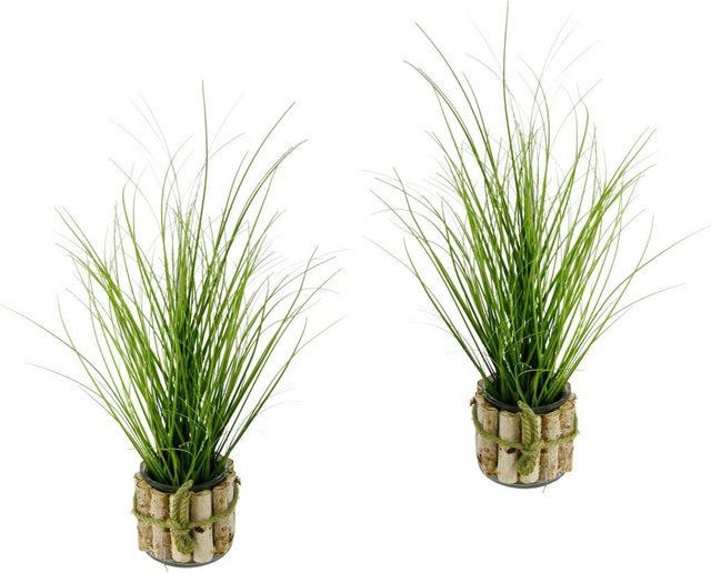 Kunstpflanze Gras, I.GE.A., Höhe 56 cm-Kunstpflanzen-Inspirationen