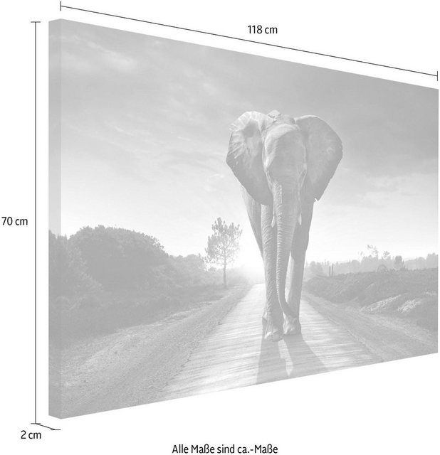 Reinders! Wandbild »Elefant König«-Bilder-Inspirationen