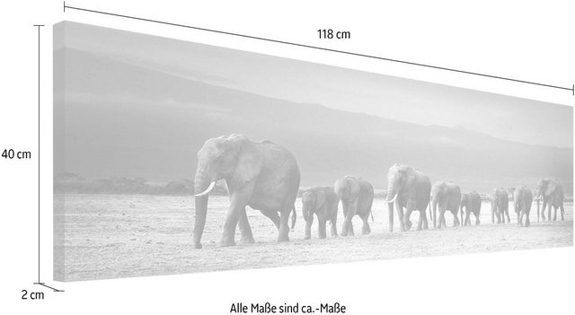 Reinders! Wandbild »Elefantenparade«-Bilder-Inspirationen
