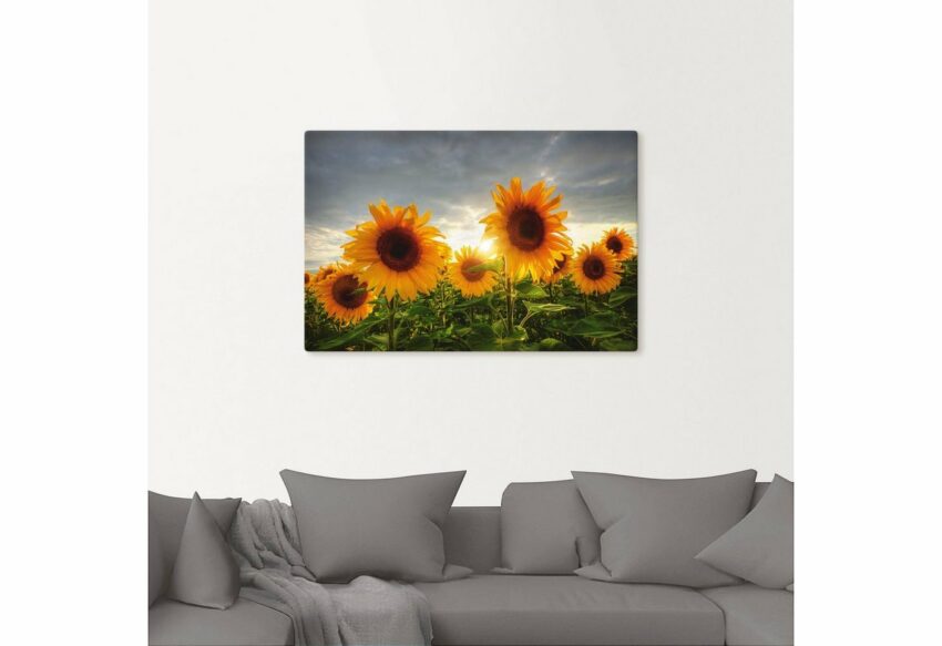 Artland Wandbild »Sonnenblumen II«, Blumen (1 Stück)-Bilder-Ideen für dein Zuhause von Home Trends
