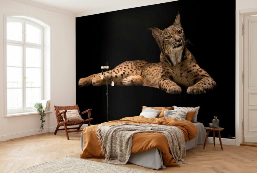 Komar Vliestapete »Iberian Lynx«, glatt, bedruckt, realistisch, (8 St), 400 x 280 cm (Breite x Höhe) - 8 Bahnen-Tapeten-Ideen für dein Zuhause von Home Trends