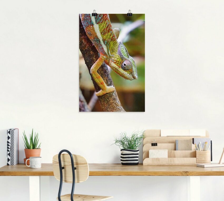 Artland Wandbild »Chamäleon«, Reptilien (1 Stück), in vielen Größen & Produktarten - Alubild / Outdoorbild für den Außenbereich, Leinwandbild, Poster, Wandaufkleber / Wandtattoo auch für Badezimmer geeignet-Bilder-Ideen für dein Zuhause von Home Trends
