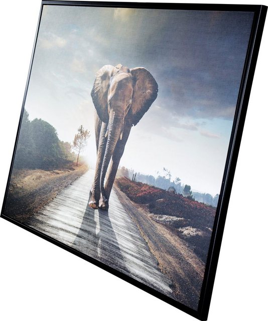 Spiegelprofi GmbH Bild mit Rahmen »Street elephant«, (1 Stück), hochwertiger Kunstdruck, Rahmen schwarz-Bilder-Inspirationen