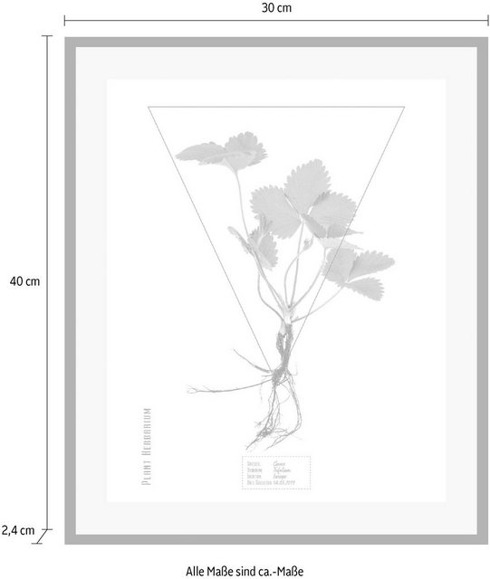 andas Bild »Pflanze«, mit Rahmen-Bilder-Inspirationen