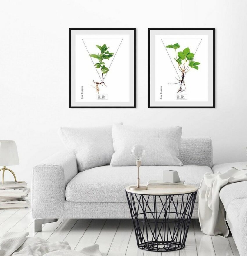 andas Bild »Pflanze«, mit Rahmen-Bilder-Ideen für dein Zuhause von Home Trends