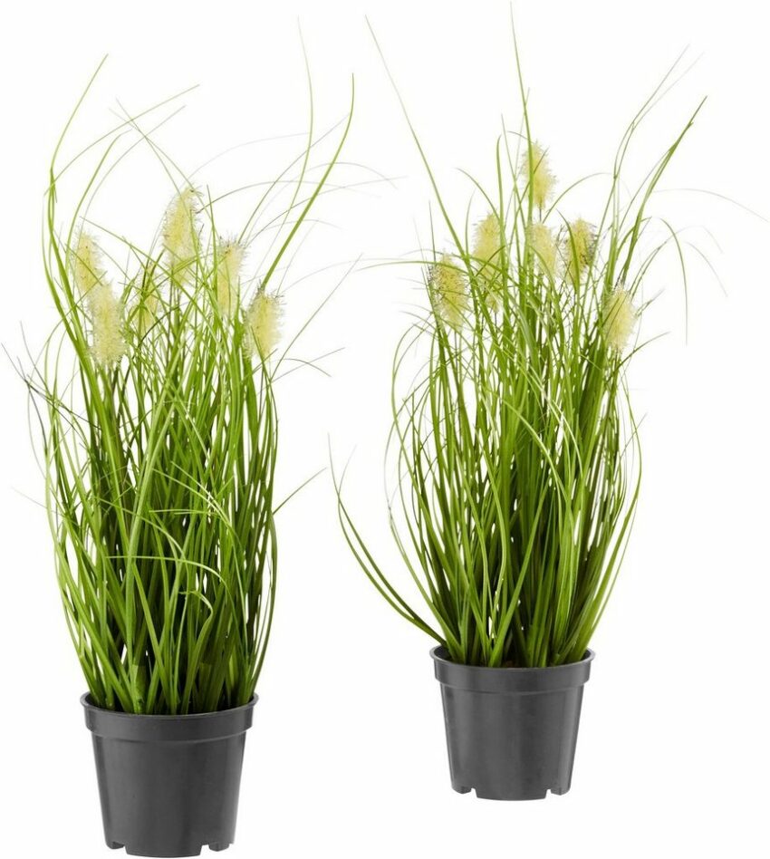 Kunstpflanze Fuchsschwanzgras, I.GE.A., Höhe 32 cm-Kunstpflanzen-Ideen für dein Zuhause von Home Trends