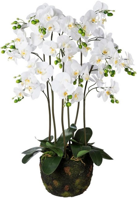 Kunstpflanze Orchidee, Creativ green, Höhe 95 cm-Kunstpflanzen-Inspirationen