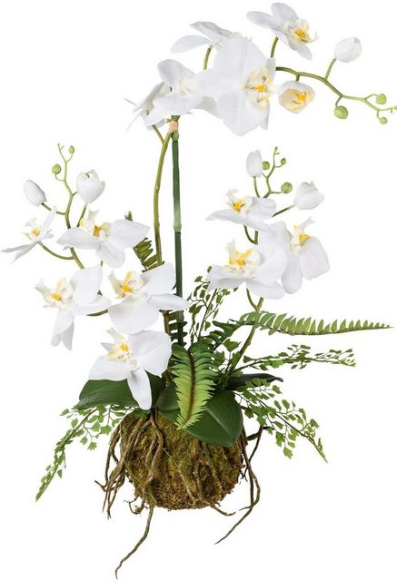 Kunstorchidee, Creativ green, Höhe 55 cm-Kunstpflanzen-Inspirationen