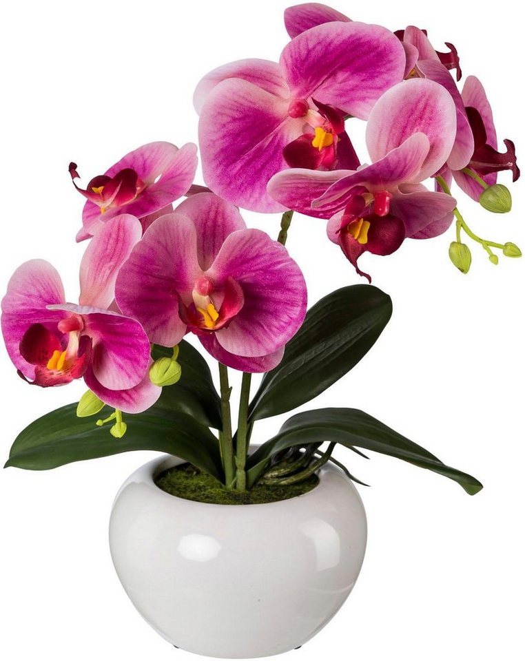 Kunstpflanze Orchidee, Creativ green, Höhe 35 cm, 2er Set-Kunstpflanzen-Ideen für dein Zuhause von Home Trends