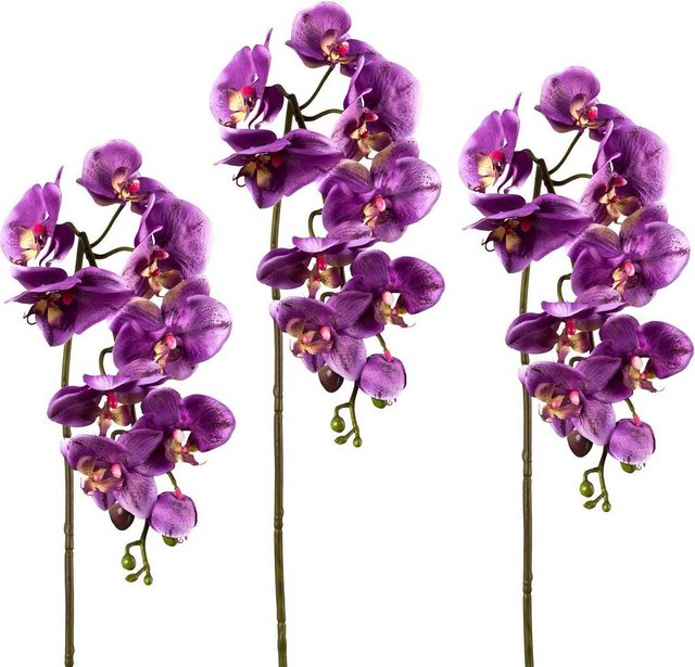 Kunstpflanze Orchidee, Creativ green, Höhe 98 cm, 3er Set-Kunstpflanzen-Inspirationen