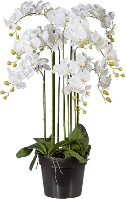 Kunstpflanze Orchidee, Creativ green, Höhe 110 cm-Kunstpflanzen-Inspirationen