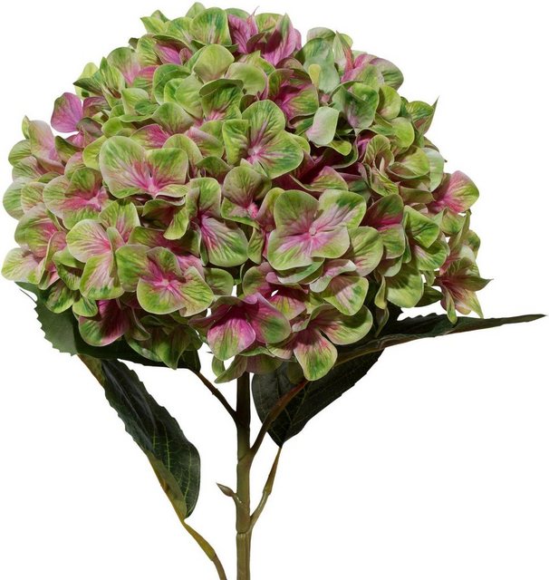Kunstblume, Creativ green, Höhe 111 cm-Kunstpflanzen-Inspirationen