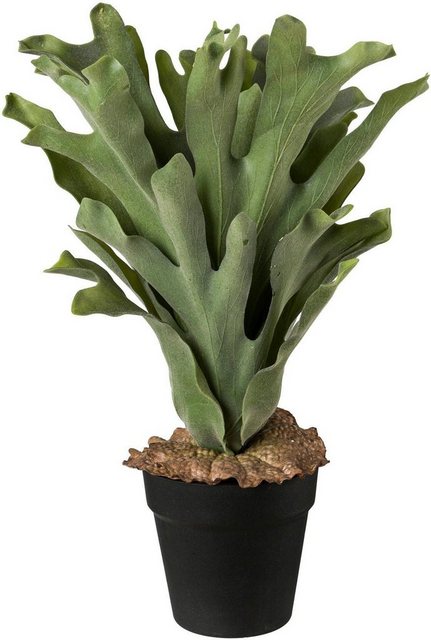 Künstliche Zimmerpflanze, Creativ green, Höhe 45 cm-Kunstpflanzen-Inspirationen
