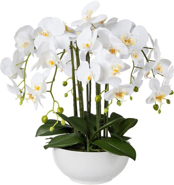 Kunstpflanze Orchidee, Creativ green, Höhe 54 cm-Kunstpflanzen-Inspirationen