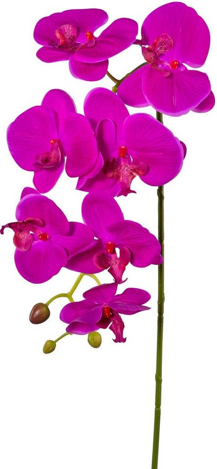 Kunstpflanze Orchidee, Creativ green, Höhe 88 cm, Real Touch (3er Set)-Kunstpflanzen-Ideen für dein Zuhause von Home Trends