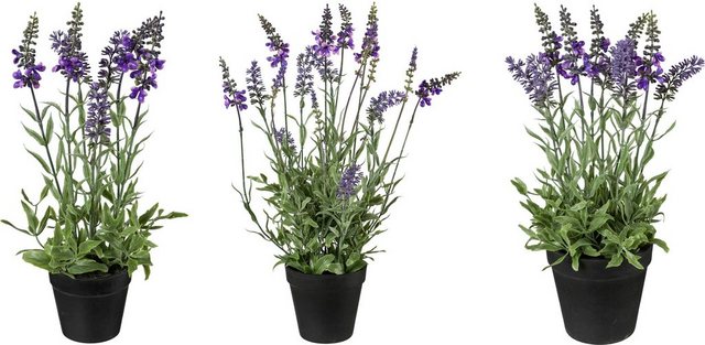 Kunstpflanze Lavendel, Creativ green, Höhe 30, 35, 48 cm-Kunstpflanzen-Inspirationen