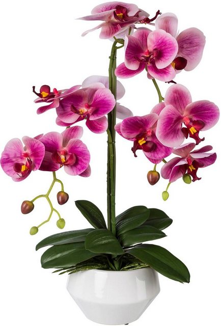 Kunstpflanze Orchidee, Creativ green, Höhe 52 cm-Kunstpflanzen-Inspirationen