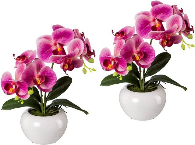 Kunstpflanze Orchidee, Creativ green, Höhe 35 cm, 2er Set-Kunstpflanzen-Inspirationen