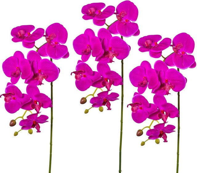 Kunstpflanze Orchidee, Creativ green, Höhe 88 cm, Real Touch (3er Set)-Kunstpflanzen-Inspirationen