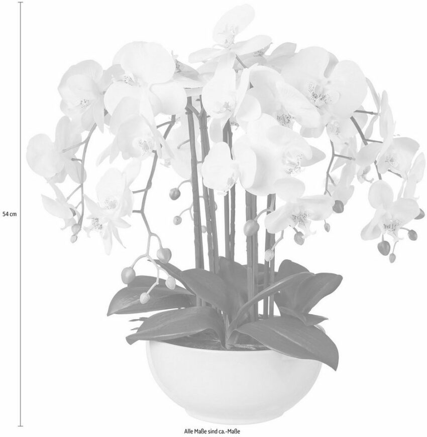 Kunstpflanze Orchidee, Creativ green, Höhe 54 cm-Kunstpflanzen-Ideen für dein Zuhause von Home Trends