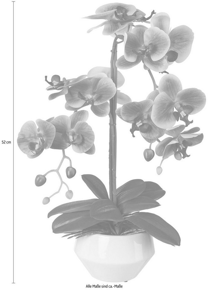 Kunstpflanze Orchidee, Creativ green, Höhe 52 cm-Kunstpflanzen-Ideen für dein Zuhause von Home Trends