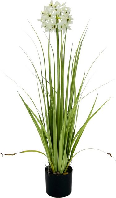 Kunstblume Allium, I.GE.A., Höhe 68 cm, im Topf-Kunstpflanzen-Inspirationen