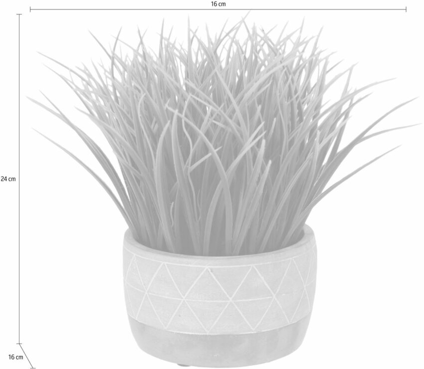 Kunstgras Gras, I.GE.A., Höhe 24 cm, im Zementtopf-Kunstpflanzen-Ideen für dein Zuhause von Home Trends