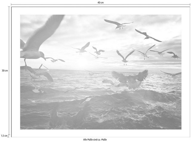 Spiegelprofi GmbH Bild »Vögel«, mit Rahmen-Bilder-Inspirationen