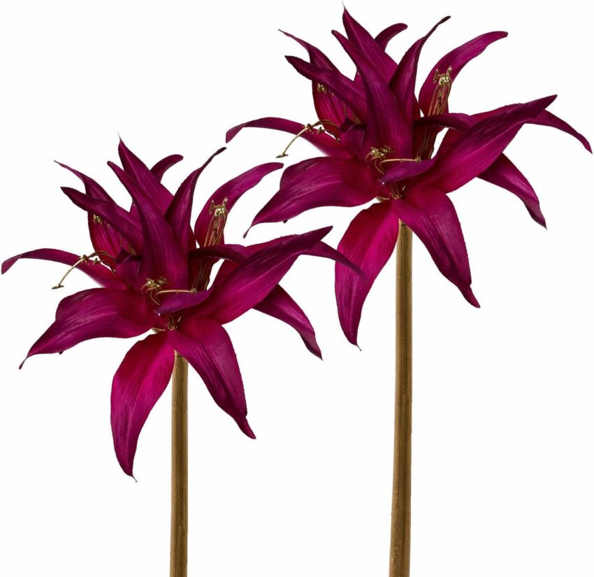 Kunstblume »Amaryllis«, Creativ deco, Höhe 52 cm-Kunstpflanzen-Ideen für dein Zuhause von Home Trends
