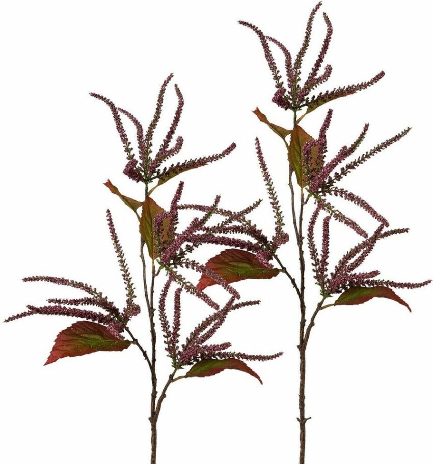 Kunstzweig »Amaranthus«, Creativ deco, Höhe 86 cm-Kunstpflanzen-Ideen für dein Zuhause von Home Trends