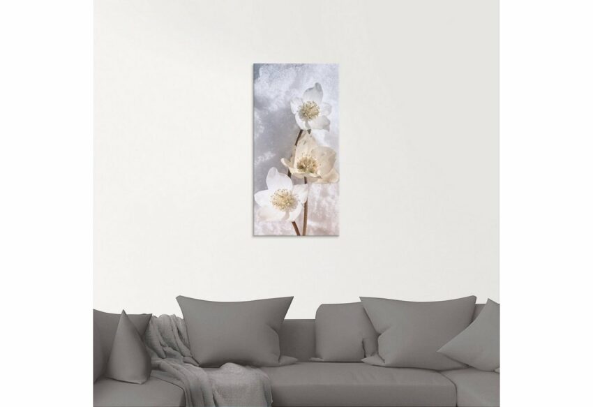 Artland Glasbild »Christrose im Schnee«, Blumen (1 Stück)-Bilder-Ideen für dein Zuhause von Home Trends