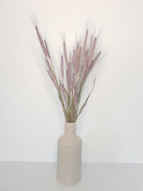 Trockenblume »Dried Triticum frosted milka«, Everflowers, Höhe 65 cm-Kunstpflanzen-Inspirationen
