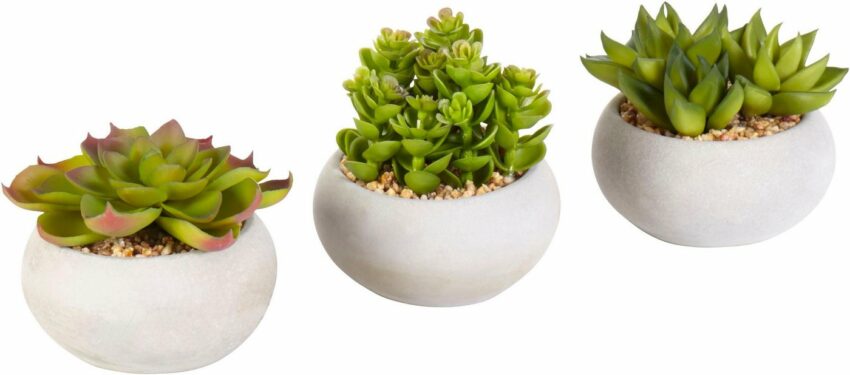 Kunstpflanze »Sukkulenten«, Creativ green, Höhe 8, 9, 10 cm-Kunstpflanzen-Ideen für dein Zuhause von Home Trends