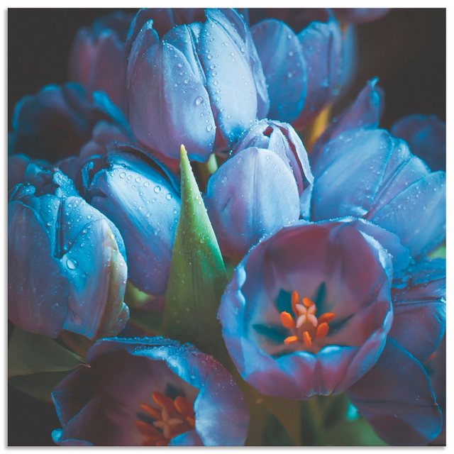 Artland Wandbild »Tulpen«, Blumen (1 Stück)-Bilder-Inspirationen