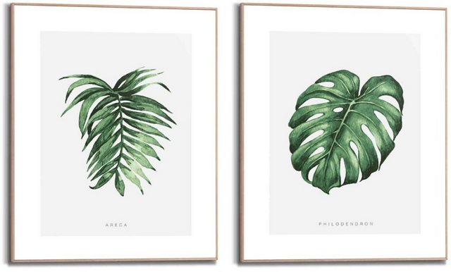 Reinders! Wandbild »Wandbilder Set Naturmotiv Philodendron - Pflanze - Areca - Palme - Blätter«, Natur (2 Stück)-Bilder-Inspirationen
