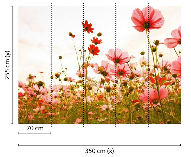 living walls Fototapete »Designwalls Flower Meadow 1«, glatt, (5 St)-Tapeten-Inspirationen