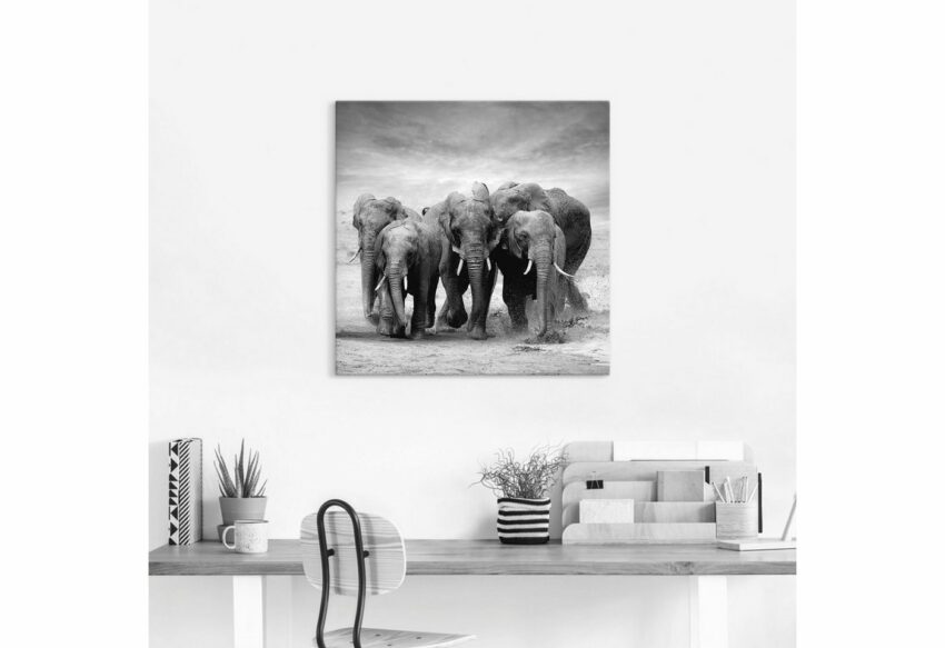 Artland Wandbild »Elefanten«, Wildtiere (1 Stück), in vielen Größen & Produktarten - Alubild / Outdoorbild für den Außenbereich, Leinwandbild, Poster, Wandaufkleber / Wandtattoo auch für Badezimmer geeignet-Bilder-Ideen für dein Zuhause von Home Trends