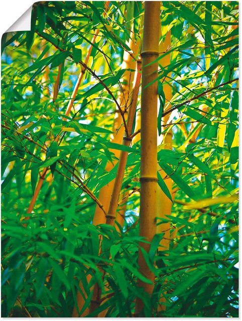 Artland Wandbild »Bambus Nahaufnahmen«, Gräser (1 Stück)-Bilder-Inspirationen