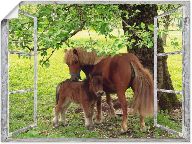 Artland Wandbild »Fensterblick - Pony mit Kind«, Haustiere (1 Stück), in vielen Größen & Produktarten - Alubild / Outdoorbild für den Außenbereich, Leinwandbild, Poster, Wandaufkleber / Wandtattoo auch für Badezimmer geeignet-Bilder-Inspirationen