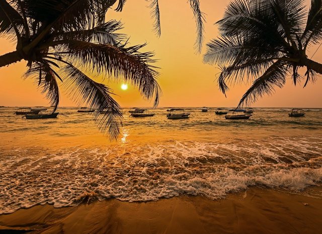 Papermoon Fototapete »Sri Lanka Palm Beach«, glatt-Tapeten-Inspirationen