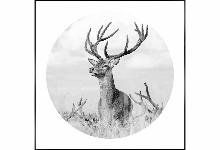 Reinders! Wandbild »Slim Frame Black 50x50 Black & White - tough deer«-Bilder-Ideen für dein Zuhause von Home Trends
