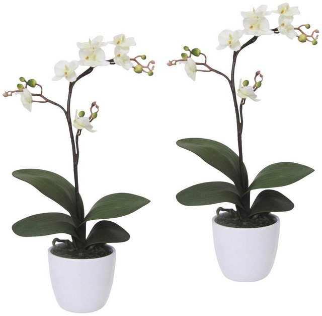 Kunstpflanze »Orchidee Phalaenopsis« Orchidee, Creativ green, Höhe 55 cm, im Keramiktopf-Kunstpflanzen-Inspirationen