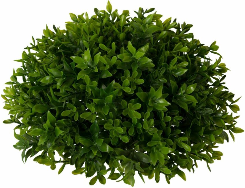 Kunstpflanze »Buchsbaumhalbkugel«, Creativ green, Höhe 12 cm, 2er Set-Kunstpflanzen-Ideen für dein Zuhause von Home Trends