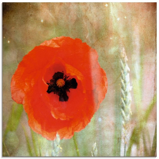 Artland Glasbild »Klatschmohn«, Blumen (1 Stück)-Bilder-Inspirationen