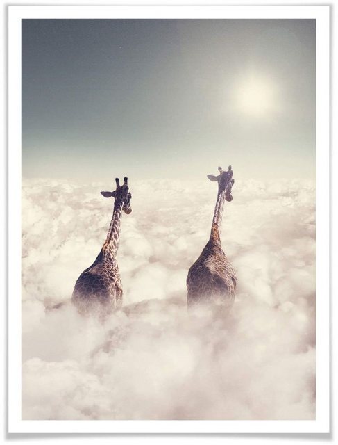 Wall-Art Poster »Safari Giraffen in den Wolken«, Tiere (1 Stück), Poster, Wandbild, Bild, Wandposter-Bilder-Inspirationen