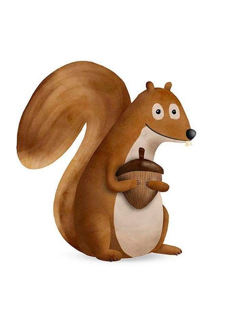 Komar Poster »Cute Animal Squirrel«, Tiere, Höhe: 40cm-Bilder-Inspirationen