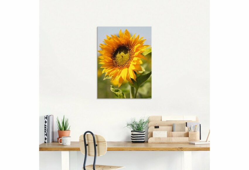 Artland Glasbild »Sonnenblume Nahaufnahme«, Blumen (1 Stück)-Bilder-Ideen für dein Zuhause von Home Trends