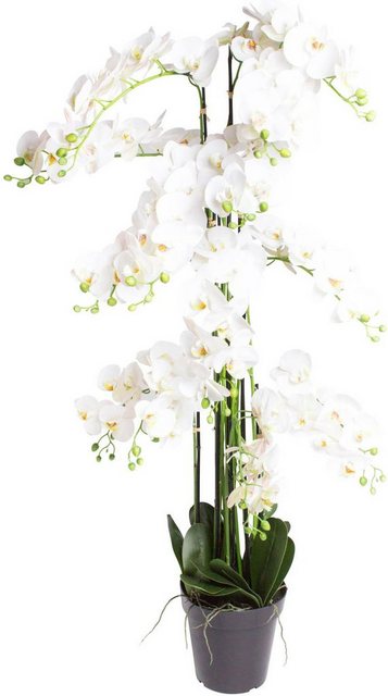Kunstorchidee »Orchidee Bora« Orchidee, Botanic-Haus, Höhe 140 cm-Kunstpflanzen-Inspirationen