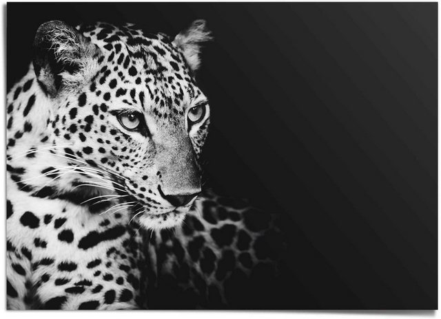 Reinders! Poster »Leopard«-Bilder-Inspirationen