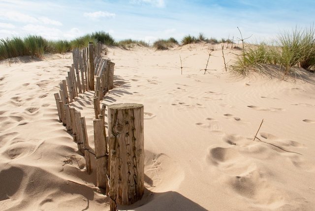 Papermoon Fototapete »Dunes Sandy Beach«, glatt-Tapeten-Inspirationen